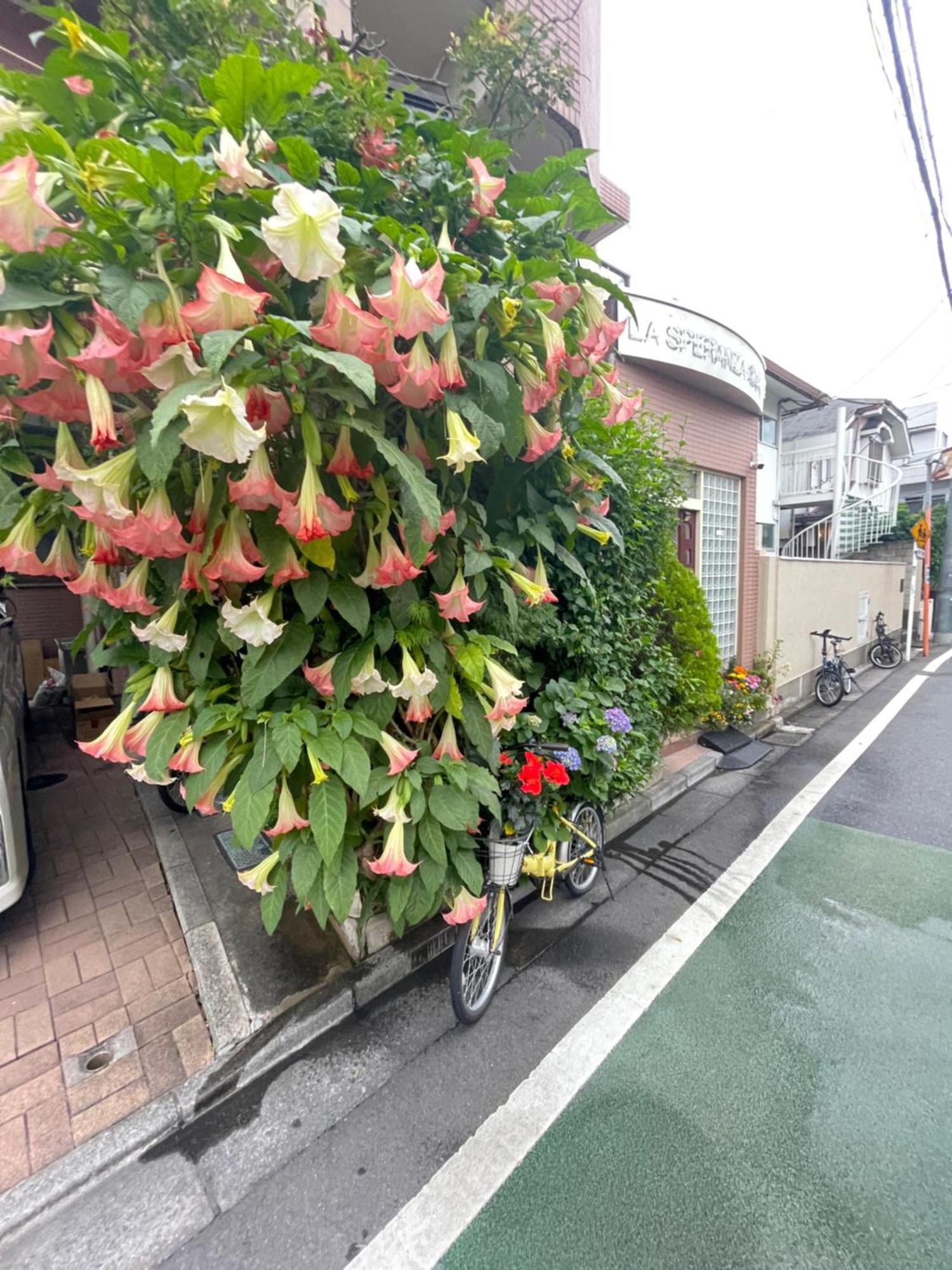 新宿庭院の屋-Shinjuku Garden Home -28 Square Meters King Size Bed Garden Room Τόκιο Εξωτερικό φωτογραφία