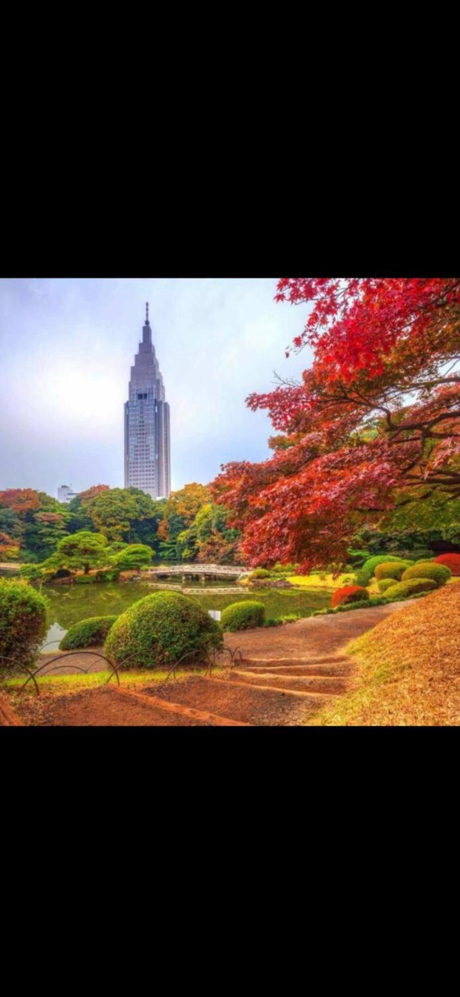新宿庭院の屋-Shinjuku Garden Home -28 Square Meters King Size Bed Garden Room Τόκιο Εξωτερικό φωτογραφία