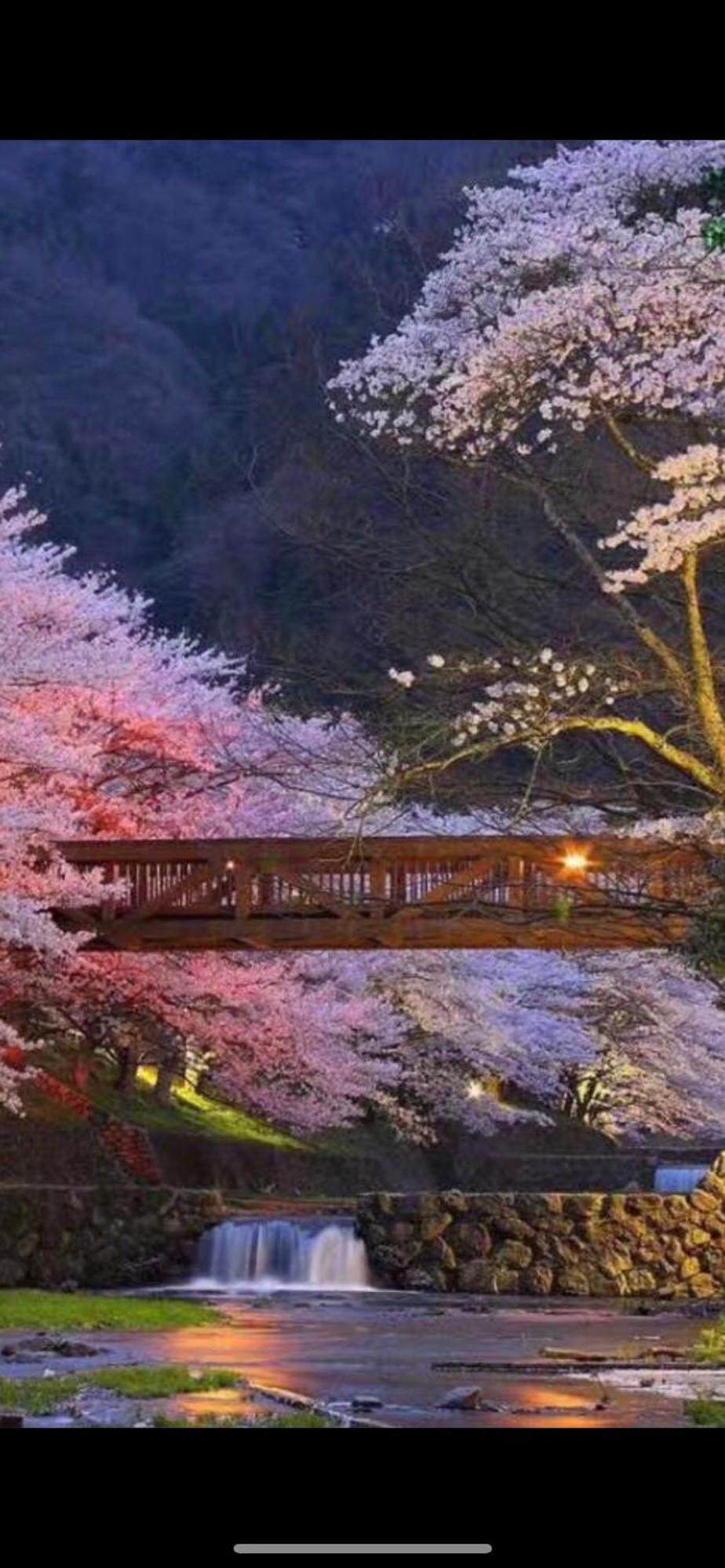新宿庭院の屋-Shinjuku Garden Home -28 Square Meters King Size Bed Garden Room Τόκιο Εξωτερικό φωτογραφία