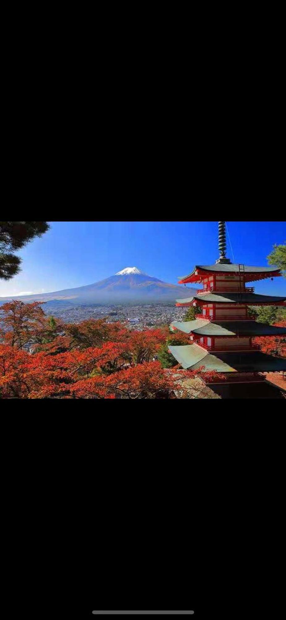 新宿庭院の屋-Shinjuku Garden Home -28 Square Meters King Size Bed Garden Room Τόκιο Εξωτερικό φωτογραφία