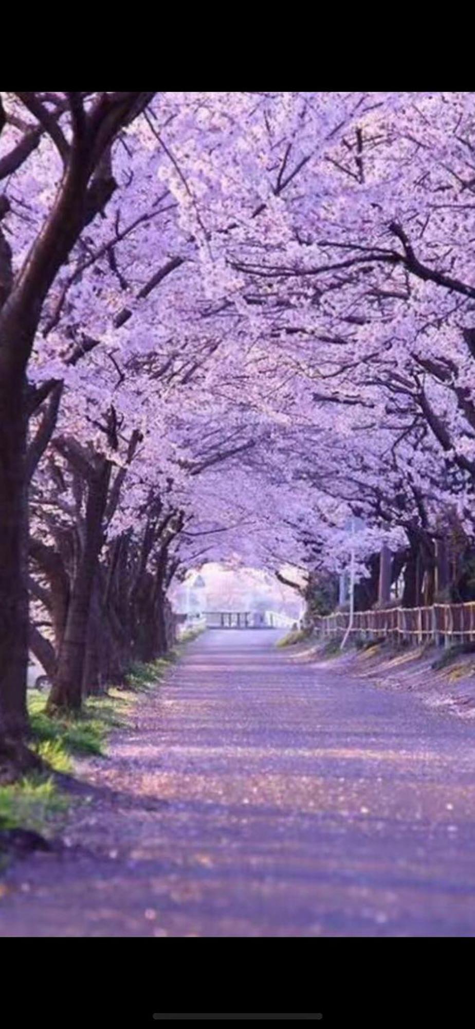 新宿庭院の屋-Shinjuku Garden Home -28 Square Meters King Size Bed Garden Room Τόκιο Εξωτερικό φωτογραφία